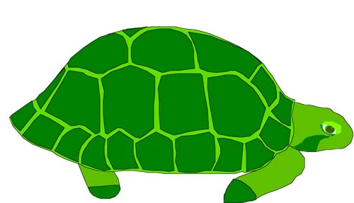 tartaruga