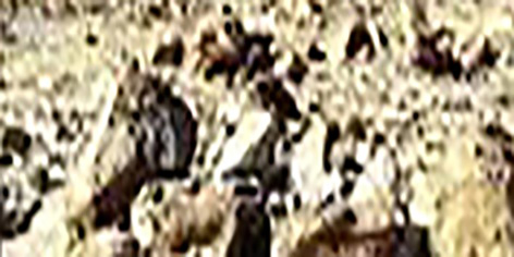 deserto occioso 3